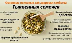 Можно ли есть тыквенные семечки маме при грудном вскармливании новорожденного?