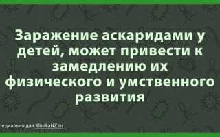 Пути передачи аскаридоза