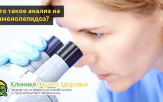 Анализ на гименолепидоз — что это и как сдавать