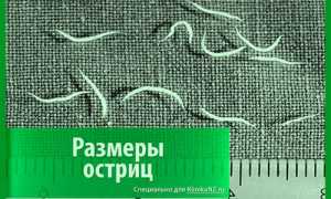 Острицы – они везде