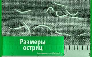 Острицы – они везде