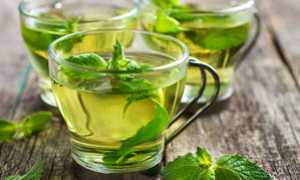 Можно ли мяту при грудном вскармливании? Как мята влияет на лактацию?