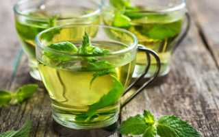 Можно ли мяту при грудном вскармливании? Как мята влияет на лактацию?