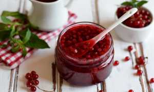 Можно ли смородиновое варенье маме при грудном вскармливании?