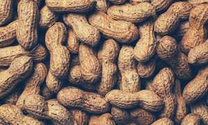 Можно ли арахис (жареный, соленый, арахисовую пасту) при грудном вскармливании в первый и последующие месяца?