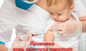 Прививка корь краснуха паротит — правила иммунизации, виды вакцин, осложнения