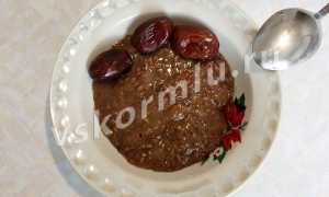 Можно ли есть льняную кашу при грудном вскармливании?