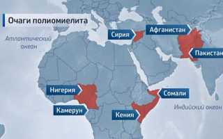 Инфекционное заболевание полиомиелит. Сроки профилактики