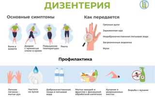 Дизентерия: описание заболевания, профилактика и лечение