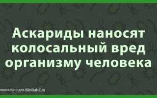 Анализ на антитела к аскаридам