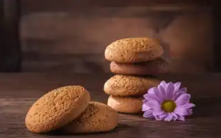 Можно ли есть овсяное печенье маме при грудном вскармливании и какое лучше?