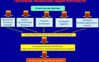 Чем опасна печеночная недостаточность, симптомы и лечение
