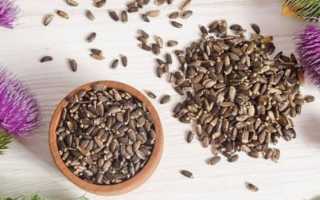 Чем может помочь расторопша маме при ГВ?