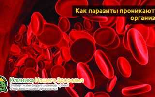 Паразиты в крови человека