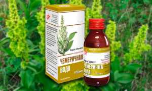 Как применять черемичную воду при педикулезе?