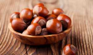 Можно ли при грудном вскармливании есть фундук в первый и последующие месяца? Отзывы кормящих мам.