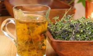 Можно ли пить душицу при грудном вскармливании? Два проверенных рецепта чая для лактации