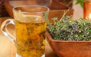 Можно ли пить душицу при грудном вскармливании? Два проверенных рецепта чая для лактации