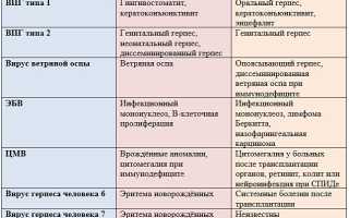 Виды герпеса, проявляющиеся в организме человека
