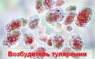 Бактериальное заболевание туляремия