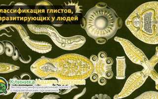 Глисты в кале и яйца гельминтов