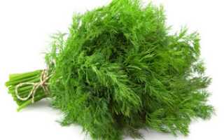 Можно ли есть укроп маме при грудном вскармливании?