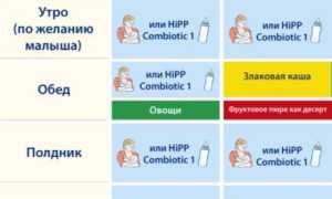 Как начинать прикорм ребенка с 5 месяцев при грудном вскармливании