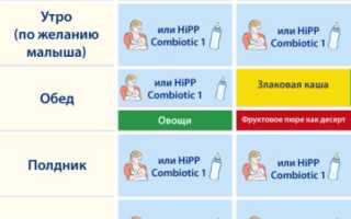 Как начинать прикорм ребенка с 5 месяцев при грудном вскармливании