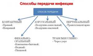 Инкубационный период начался — что можно предпринять