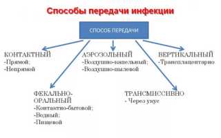 Инкубационный период начался — что можно предпринять