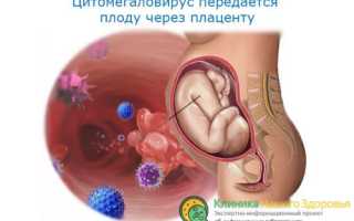 Пути заражения и симптомы герпеса 5 типа