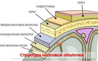 Что такое менингит, симптомы и лечение