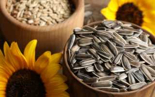 Можно ли семечки при ГВ (жареные или сырые)?