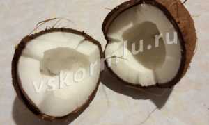 Можно ли кокос, кокосовое молоко, масло, стружку при ГВ?