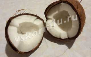 Можно ли кокос, кокосовое молоко, масло, стружку при ГВ?