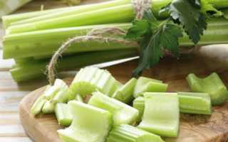 Можно ли корень и стебель сельдерея при грудном вскармливании в первые месяцы после родов?