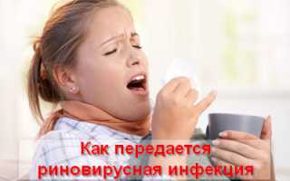 Риновирусная инфекция — особенности, лечение