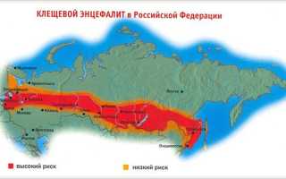 Как профилактировать клещевой энцефалит