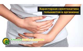 Лечение глистов народными средствами