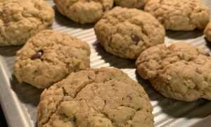 Какое печенье можно есть кормящей маме? Все секреты приготовления полезного печенья дома своими руками