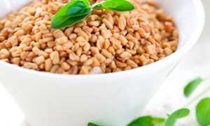 Рецепты с пажитником для увеличения лактации грудного молока