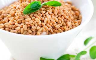 Рецепты с пажитником для увеличения лактации грудного молока