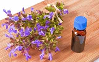 Как пить шалфей для прекращения или уменьшения лактации? Как приготовить отвар, настой шалфея в домашних условиях?