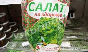 Можно ли салат айсберг и другие виды свежего салата при грудном вскармливании?