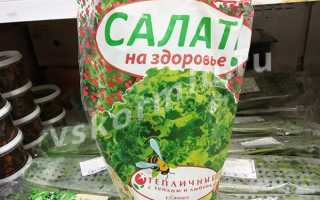 Можно ли салат айсберг и другие виды свежего салата при грудном вскармливании?