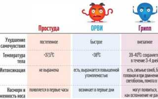 Грипп как самая опасная ОРВИ. Виды гриппа и их лечение