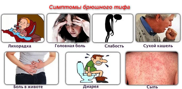 симптомы брюшного тифа