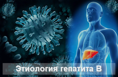 этиология гепатита В