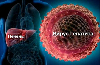 патогенез гепатита Е