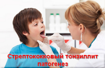 стафилококковый тонзиллит патогенез